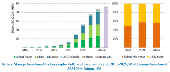 Battery Storage Investment by Geography and Segment