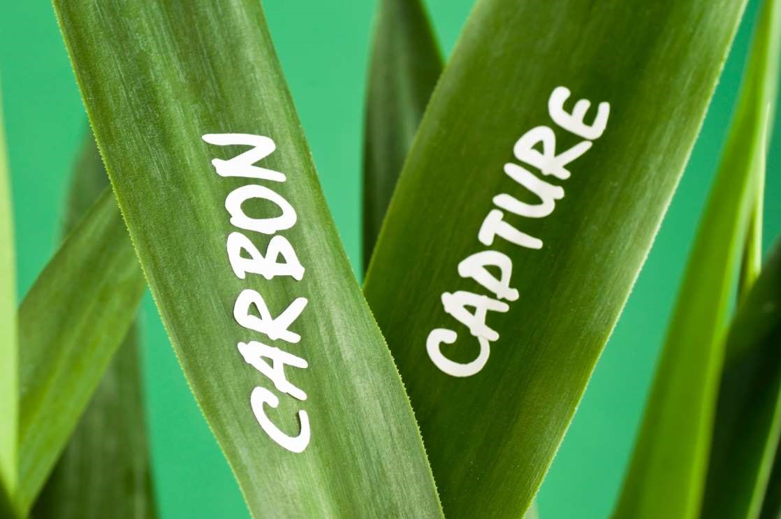 Carbon Negative Bioenergy