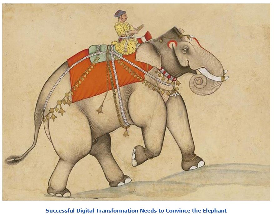 The Rider And Elephant And Digital Transformation Arc Advisory