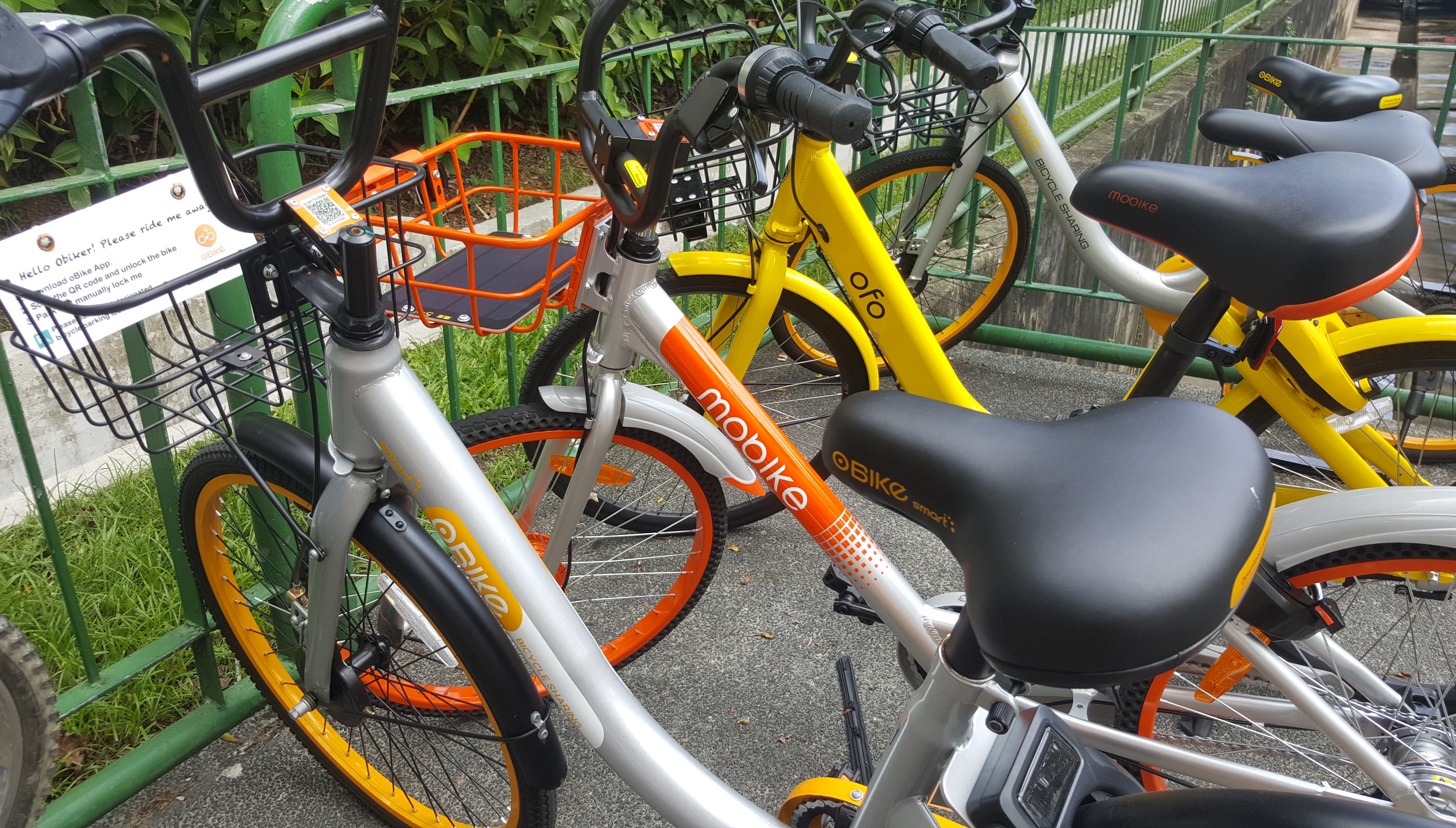 bicycle sharing obike