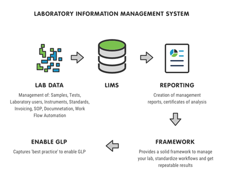Lab Information Management Systems (LIMS): The Digital Backbone of ...